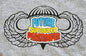 PAB "Future Paratrooper" Toddler T-Shirt