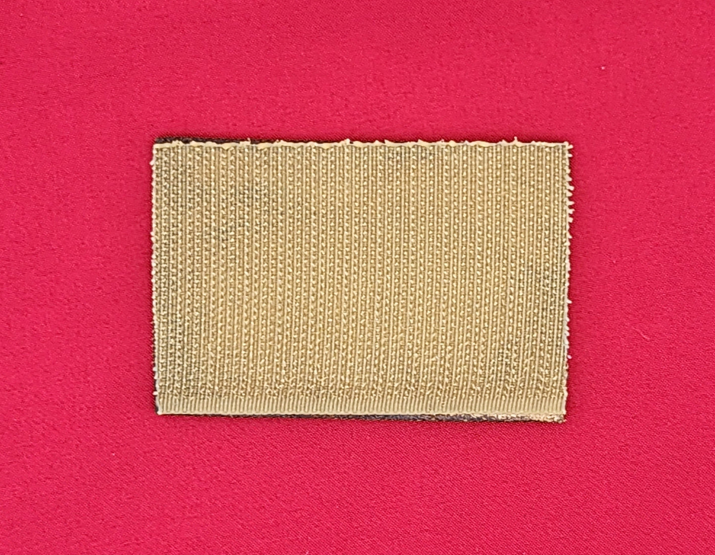 Senior Jump Wings Leather Patch
